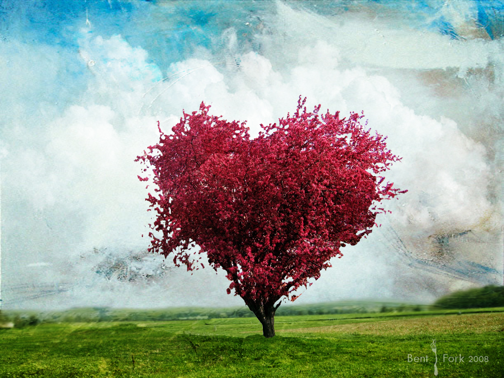 the_love_tree